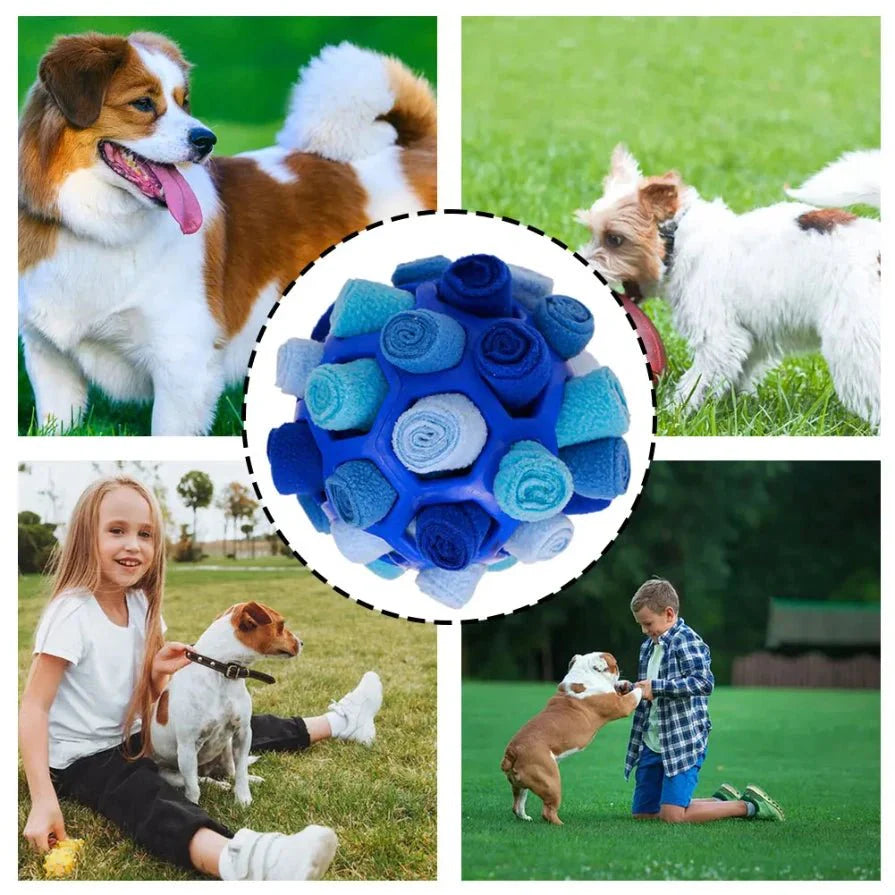 Interactieve Snuffelbal voor Honden